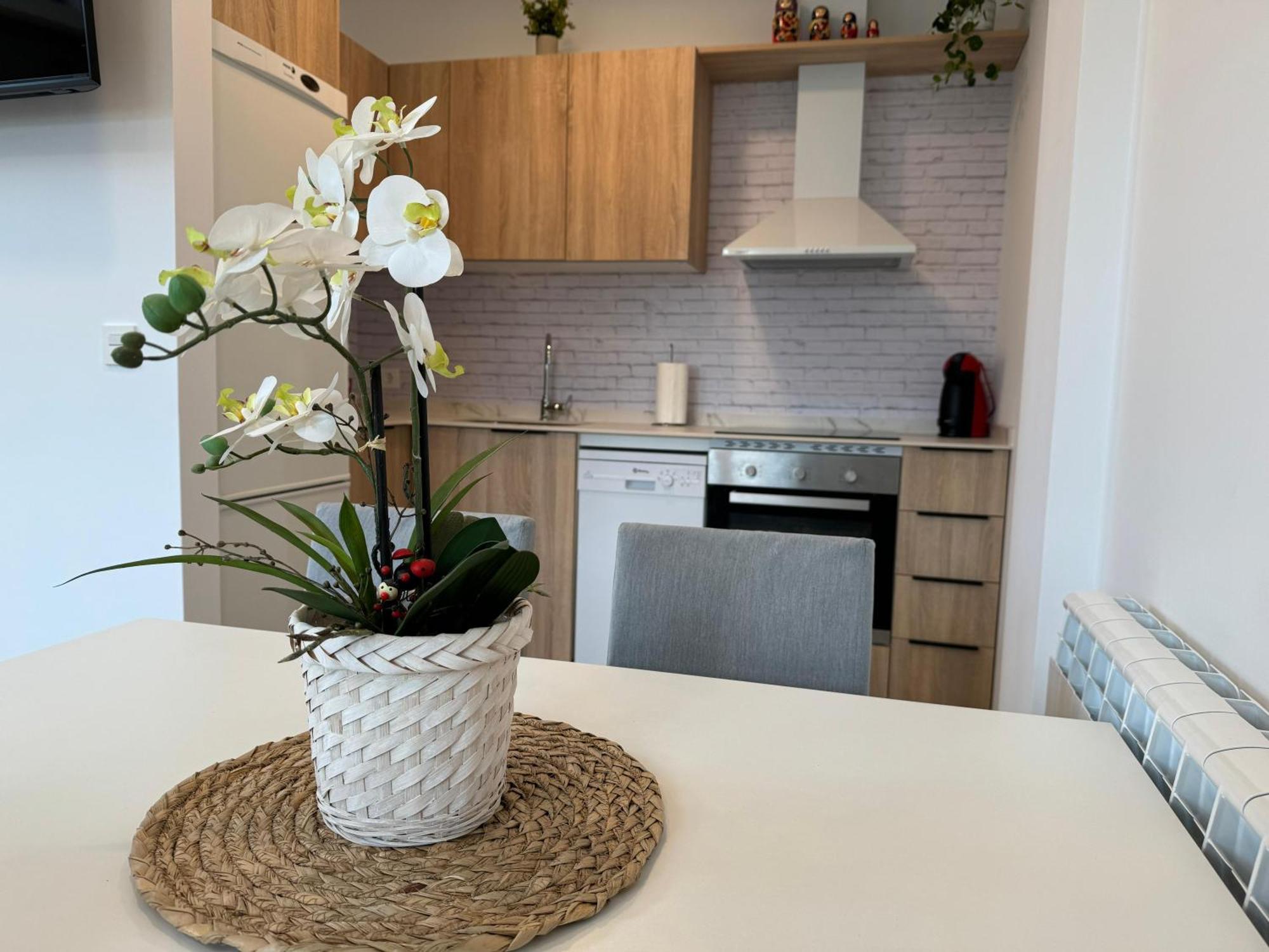 Apartamentos Montejurra Ayegui Dış mekan fotoğraf